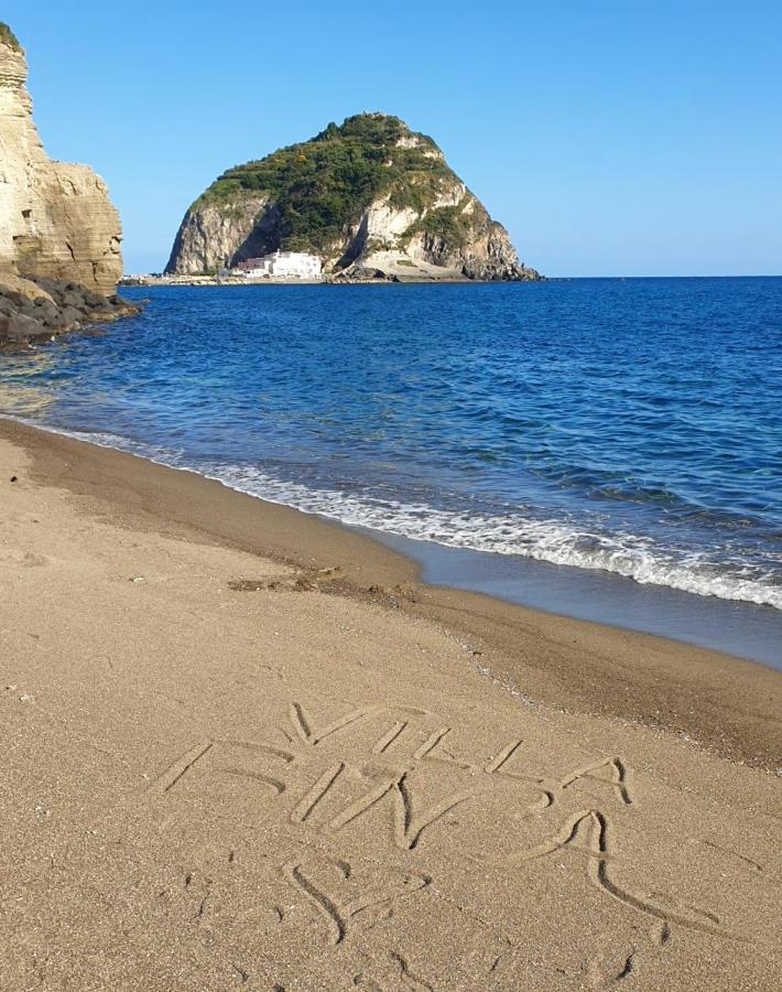 Villa Bina Sea Hotel Sant'Angelo  Екстериор снимка
