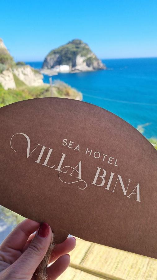 Villa Bina Sea Hotel Sant'Angelo  Екстериор снимка